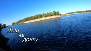 Поймал ЛЕЩА на жмых с подсадкой кукурузы, рыбалка на реке летом