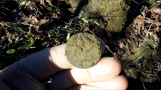 1796 Liberty Cap Large Cent смотреть онлайн