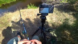 Я попробовал ловить рыбу на ХЛЕБ, и вы не поверите, что получилось!