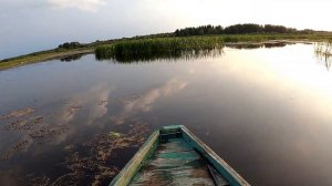 и Я за утками, открытие охоты 2021