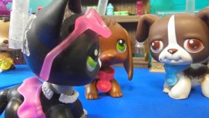 LPS фильм: ИРОНИЯ СУДЬБЫ