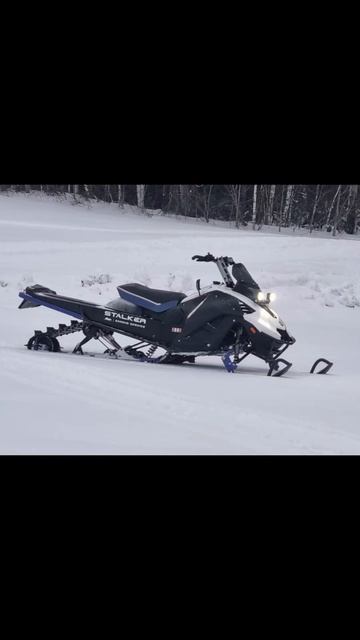 Stalker 300 от Bardin Service смотреть онлайн