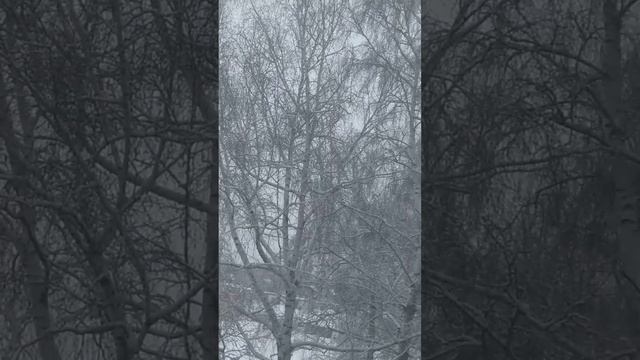 11 февраля 2022 г. смотреть онлайн