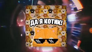 я кот на стиле на скоросте 2х