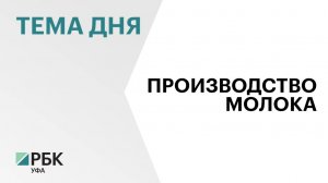 Более 40% товарного молока Башкортостана произвели ТОП-5 самых молочных районов