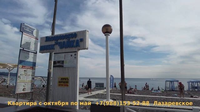 Лазаревское Чайка Лагуна Рыбацкий,  Лазаревское, обзор,  Лазаревское  сегодня, Лазаревское обзор🌴