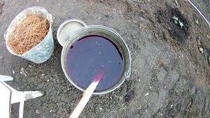 Подкормка клубники весной мульчирование клубники хвойным опадом