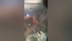 эксперимент, облако в банке !!!!!!