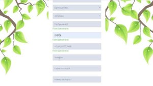 Регистрация в центре Михайлова.