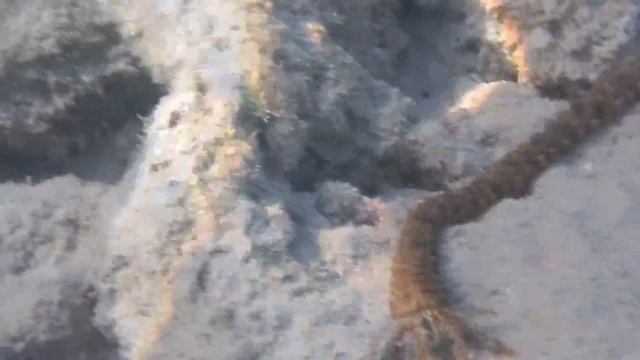 Живая веревка