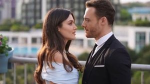 В отношениях между Ханде Эрчел и Хаканом Сабанджи произошли большие перемены!