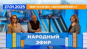 Чем полезен «Муравейник»? Народный эфир