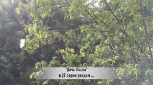 ДОЧЬ ПОСЛА 29 серия РУССКАЯ ОЗВУЧКА