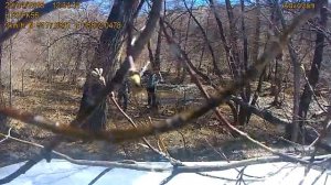 "Козья Ностра" 4