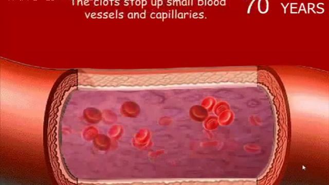 Функция эритроцитов крови аппарат CEM TECH смотреть онлайн