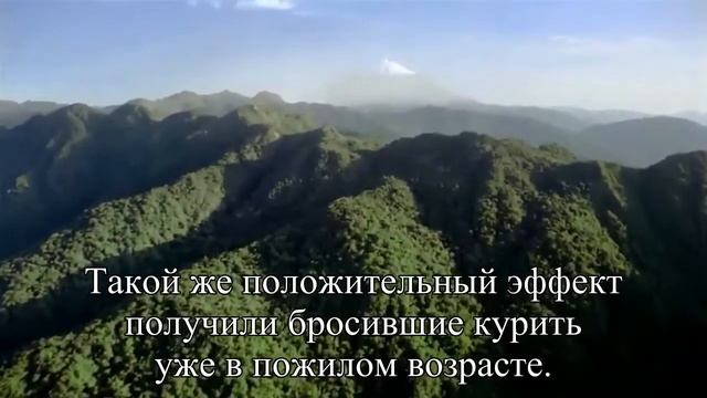 Здоровый образ жизни в пожилом возрасте может прибавить 5 6 лет  — Статья