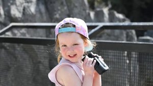 Unlocking the Power of the Nikkor 28-400mm Lens