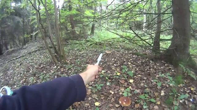 ЛЕСНАЯ ПОНОЖОВЩИНА! Кладоискатель Белый Копатель!