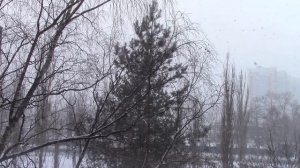 А снег идёт