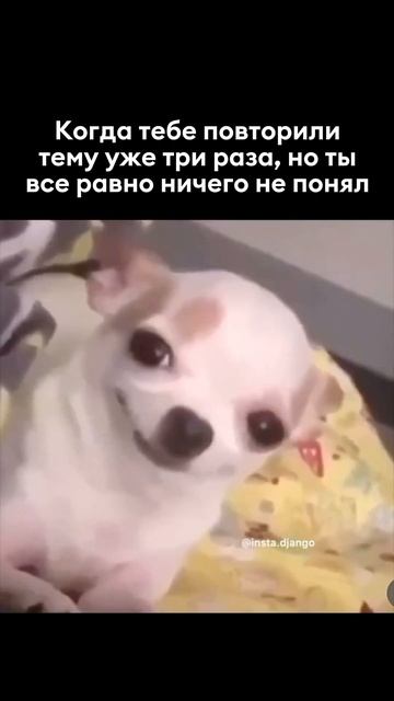 А такое было? 💯 #репетиторскаяимперия #мем #жиза #егэ #вуз