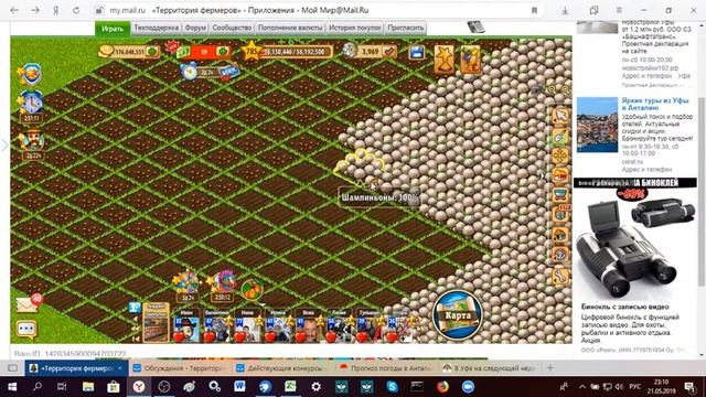 Территория фермеров: шампиньоны. смотреть онлайн