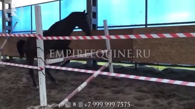 0706 смотреть онлайн