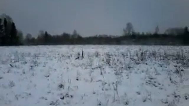 МарёвоЛЕВ играет в партизанов. смотреть онлайн