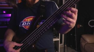 Visionaari - Bitter Grasses (Bass playthrough)