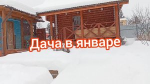Дачные работы в январе. 28.01.25г