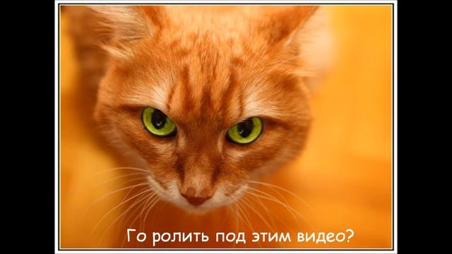 Го ролить под этим видео?! смотреть онлайн
