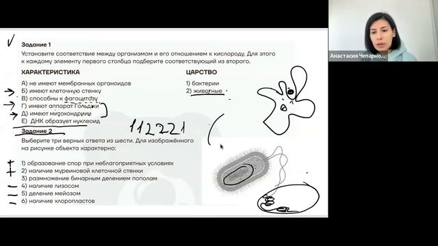 22.10 7 группа огэ бактерии и вирусы смотреть онлайн