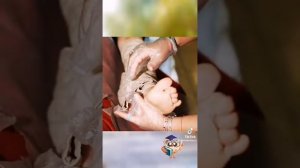 чужой против хищника фильм на русском языке