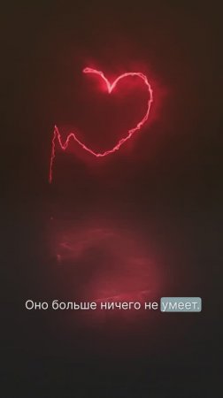 Сердца нам выдали одинаковые...и эти сердца способны только любить ❤️