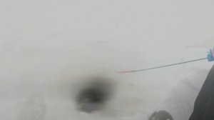 Рыбалка 31 01 2023г