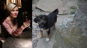 Невский. Охота на Архитектора 22, 23, 24 серия