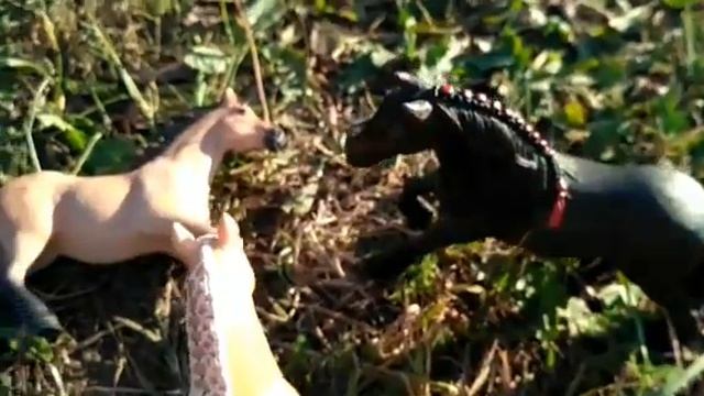 Шляйх сериал | " Дикий домашний табун " |. Серия 1 смотреть онлайн