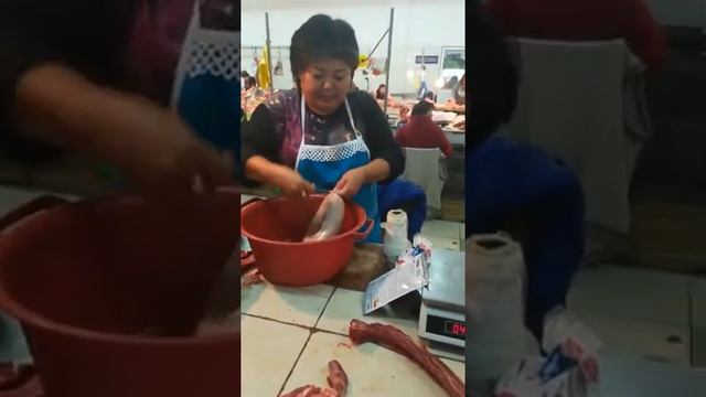 Казы в подарок из Степногорска. смотреть онлайн