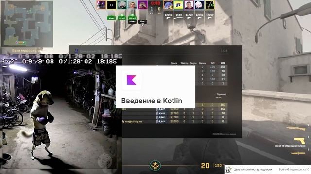 Топ лучших курсов на Stepik  Бесплатные курсы Степик