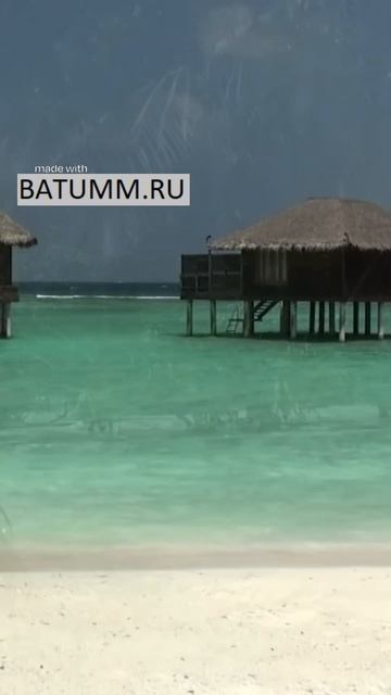 Maldives Vacation 2024. Budget Islands in Maldives #shorts #travel смотреть онлайн