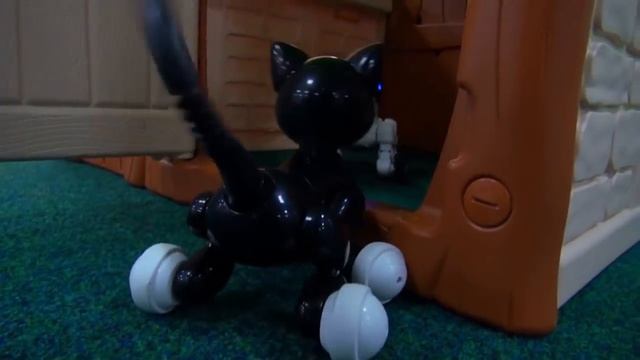 David Adventure | Chase and Skye find Puppy and Kitten | Paw Patrol for kids смотреть онлайн