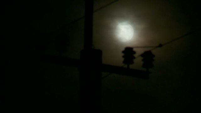 Щелкино без света