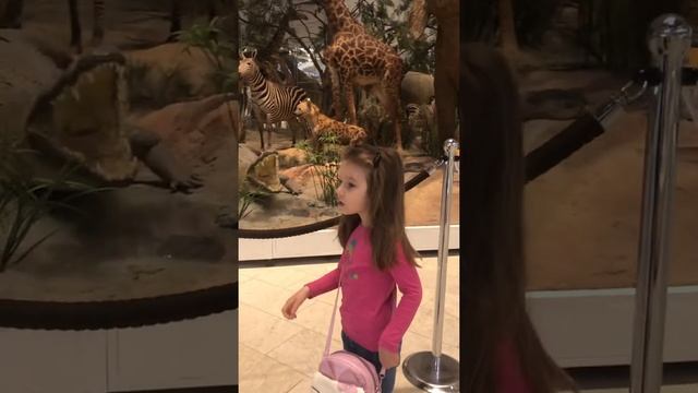 В Дарвиновском музее 09.05.21 смотреть онлайн