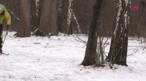 Исследуем зимние виды спорта: классический лыжный ход