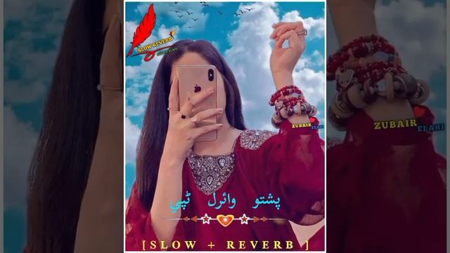 Pashto Viral Tapy | [ Slow + Reverb ] смотреть онлайн