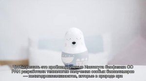 Биопластик можно разлагать в Арктике без вреда для экологии