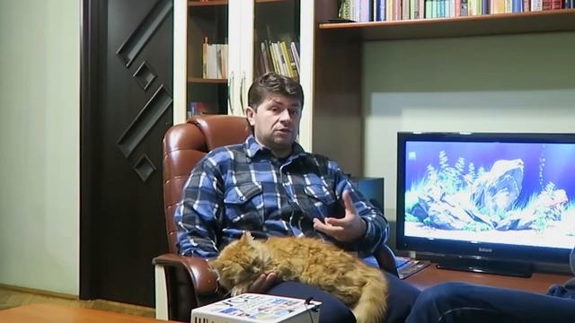 Українська мова латиницею. Чи не повторити нам досвід Сербії? смотреть онлайн