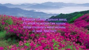 В душе моей