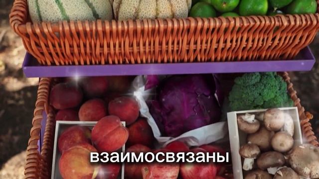 ЧЕСНОК И ТРАВЫ НУЖНО СЕЯТЬ СЕЙЧАС ОСЕННЯЯ ПОСАДКА смотреть онлайн