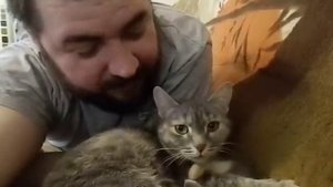 кошка разговаривает с хозяином