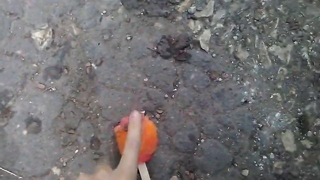 злой повар смотреть онлайн